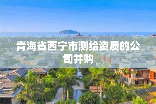 青海省西宁市测绘资质的公司并购