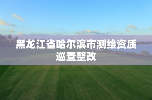 黑龙江省哈尔滨市测绘资质巡查整改