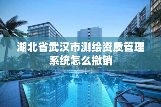 湖北省武汉市测绘资质管理系统怎么撤销