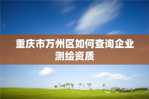 重庆市万州区如何查询企业测绘资质