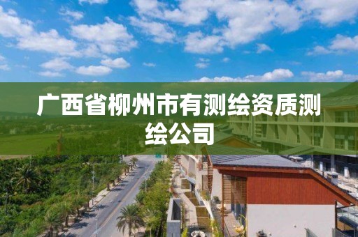 广西省柳州市有测绘资质测绘公司