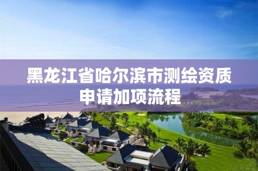 黑龙江省哈尔滨市测绘资质申请加项流程