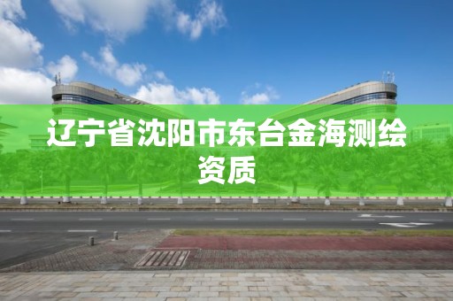 辽宁省沈阳市东台金海测绘资质