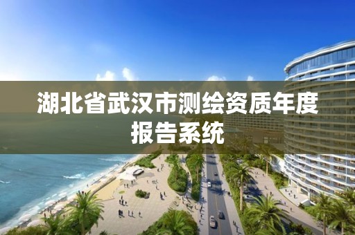 湖北省武汉市测绘资质年度报告系统