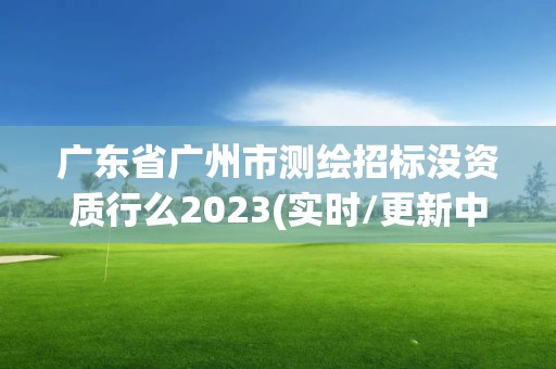 广东省广州市测绘招标没资质行么2023(实时/更新中)