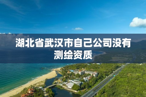 湖北省武汉市自己公司没有测绘资质