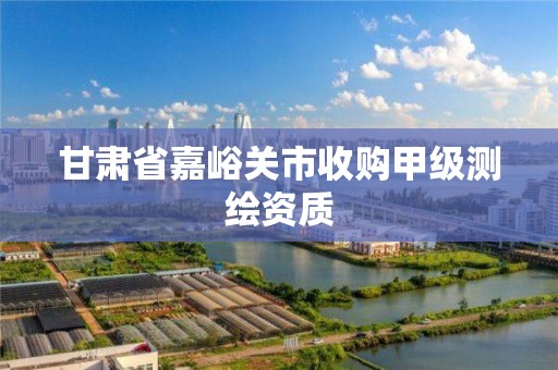 甘肃省嘉峪关市收购甲级测绘资质