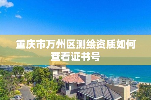 重庆市万州区测绘资质如何查看证书号