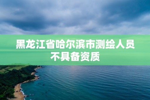 黑龙江省哈尔滨市测绘人员不具备资质