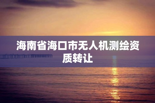 海南省海口市无人机测绘资质转让