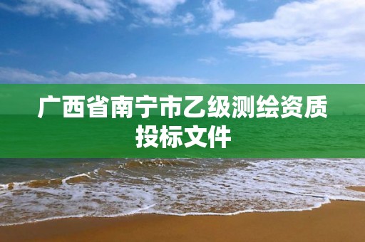 广西省南宁市乙级测绘资质投标文件