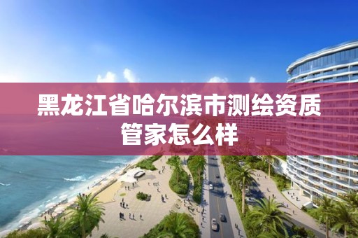 黑龙江省哈尔滨市测绘资质管家怎么样