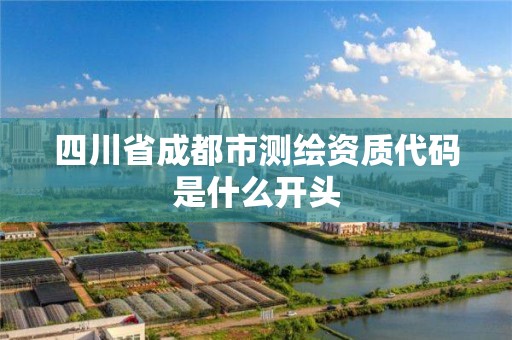 四川省成都市测绘资质代码是什么开头