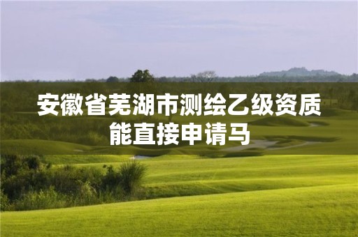 安徽省芜湖市测绘乙级资质能直接申请马