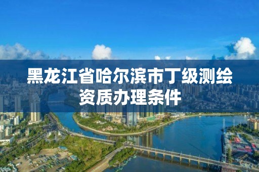 黑龙江省哈尔滨市丁级测绘资质办理条件