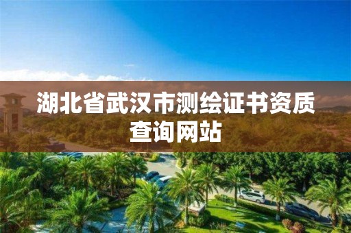 湖北省武汉市测绘证书资质查询网站