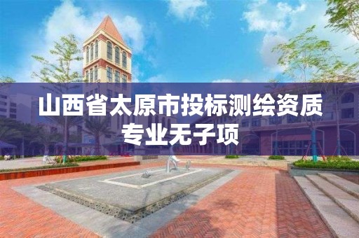 山西省太原市投标测绘资质专业无子项