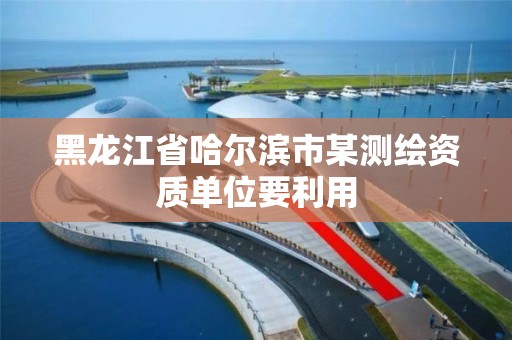 黑龙江省哈尔滨市某测绘资质单位要利用