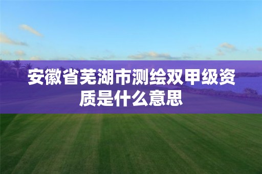 安徽省芜湖市测绘双甲级资质是什么意思