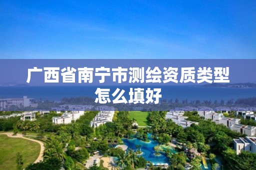 广西省南宁市测绘资质类型怎么填好