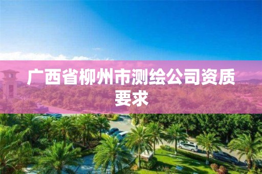 广西省柳州市测绘公司资质要求