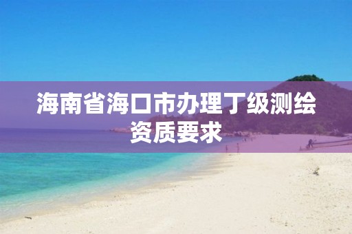 海南省海口市办理丁级测绘资质要求