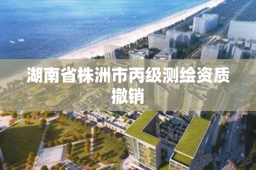 湖南省株洲市丙级测绘资质撤销