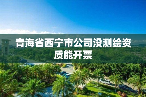 青海省西宁市公司没测绘资质能开票