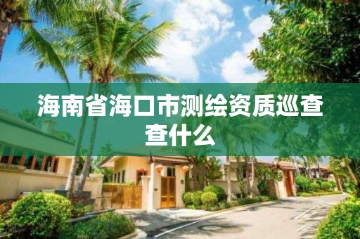 海南省海口市测绘资质巡查查什么