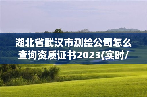 湖北省武汉市测绘公司怎么查询资质证书2023(实时/更新中)