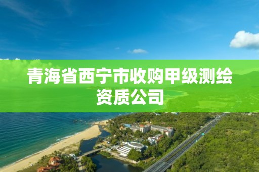 青海省西宁市收购甲级测绘资质公司