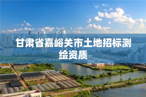 甘肃省嘉峪关市土地招标测绘资质