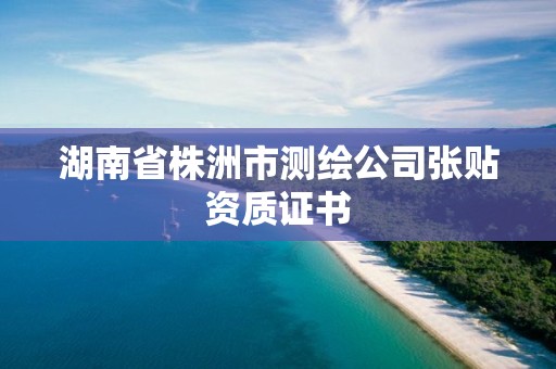 湖南省株洲市测绘公司张贴资质证书