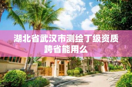 湖北省武汉市测绘丁级资质跨省能用么