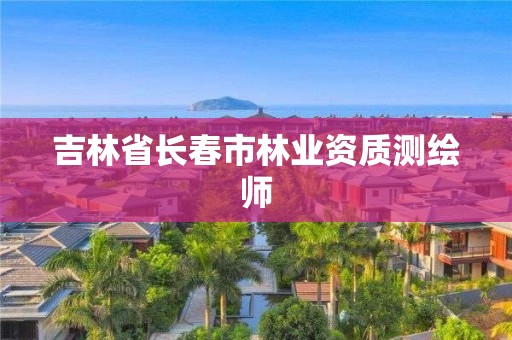 吉林省长春市测绘师