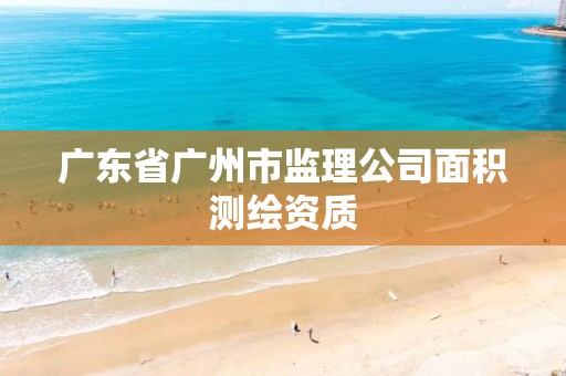 广东省广州市监理公司面积测绘资质