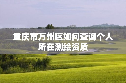 重庆市万州区如何查询个人所在测绘资质