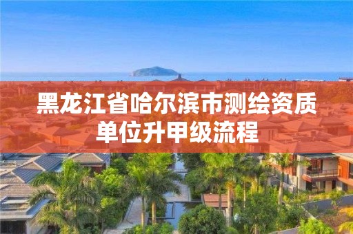 黑龙江省哈尔滨市测绘资质单位升甲级流程