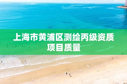 上海市黄浦区测绘丙级资质项目质量