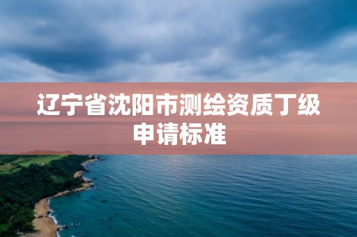 辽宁省沈阳市测绘资质丁级申请标准