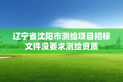 辽宁省沈阳市测绘项目招标文件没要求测绘资质