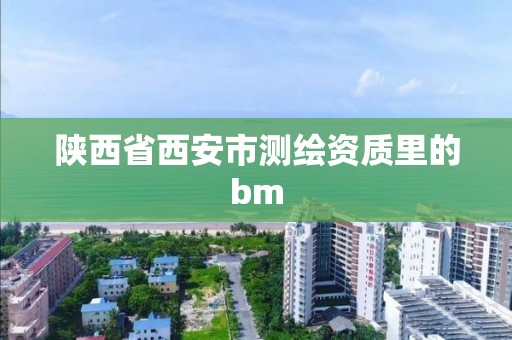 陕西省西安市测绘资质里的bm