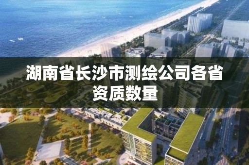 湖南省长沙市测绘公司各省资质数量