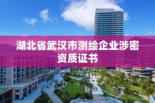 湖北省武汉市测绘企业涉密资质证书