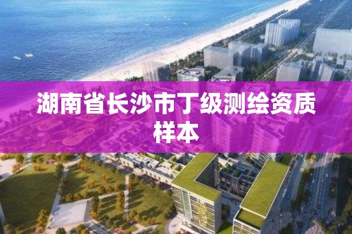 湖南省长沙市丁级测绘资质样本