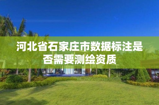 河北省石家庄市数据标注是否需要测绘资质