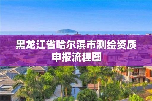 黑龙江省哈尔滨市测绘资质申报流程图