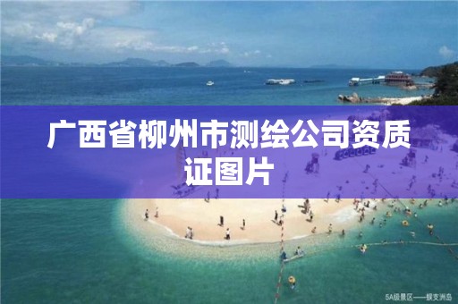 广西省柳州市测绘公司资质证图片