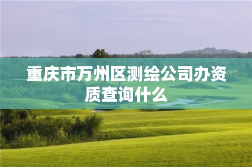 重庆市万州区测绘公司办资质查询什么