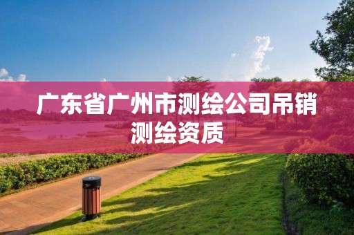 广东省广州市测绘公司吊销测绘资质